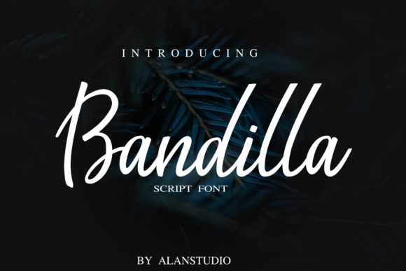 Discovering Bandilla: A Handwritten Font for Editorial Charm