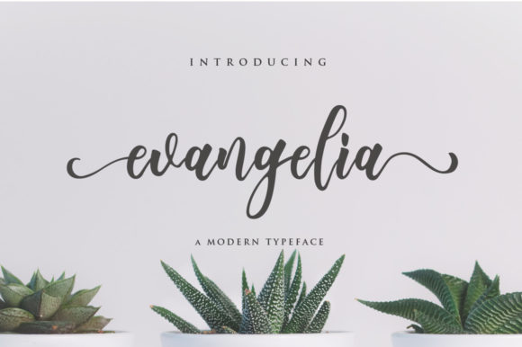 Evangelia: A Versatile Script Font for Engaging Campaigns