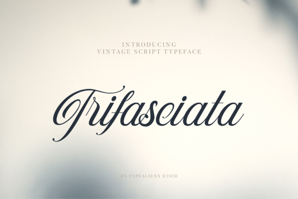 Trifasciata: A Handwritten Font for Editorial Elegance